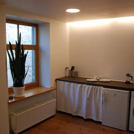 Daire Studio By The Dome Square Riga