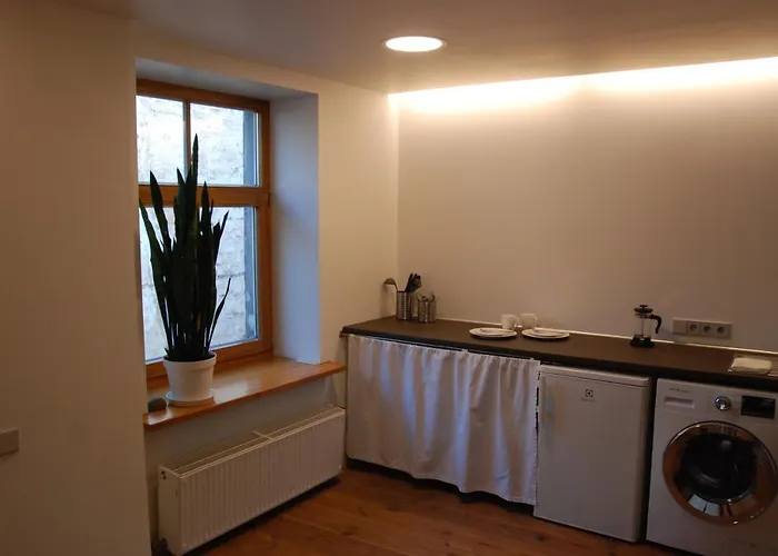 Daire Studio By The Dome Square Riga